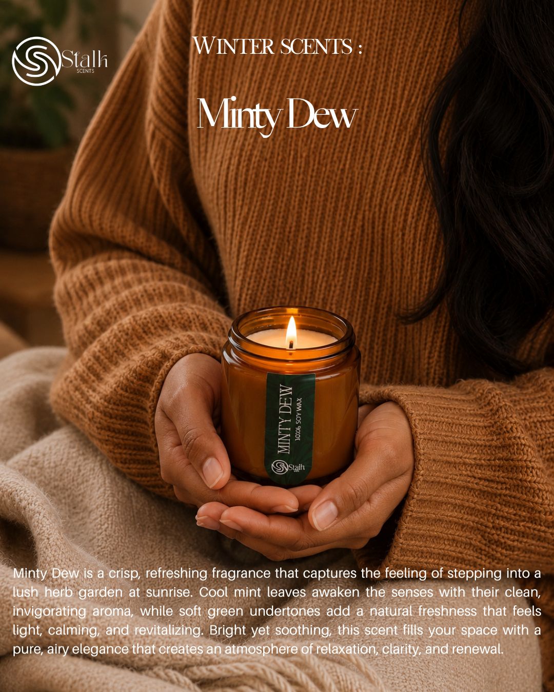 Luxury fragrance collection